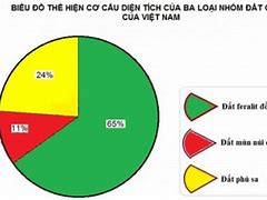 Đô Thị Có Diện Tích Lớn Nhất Nước Ta